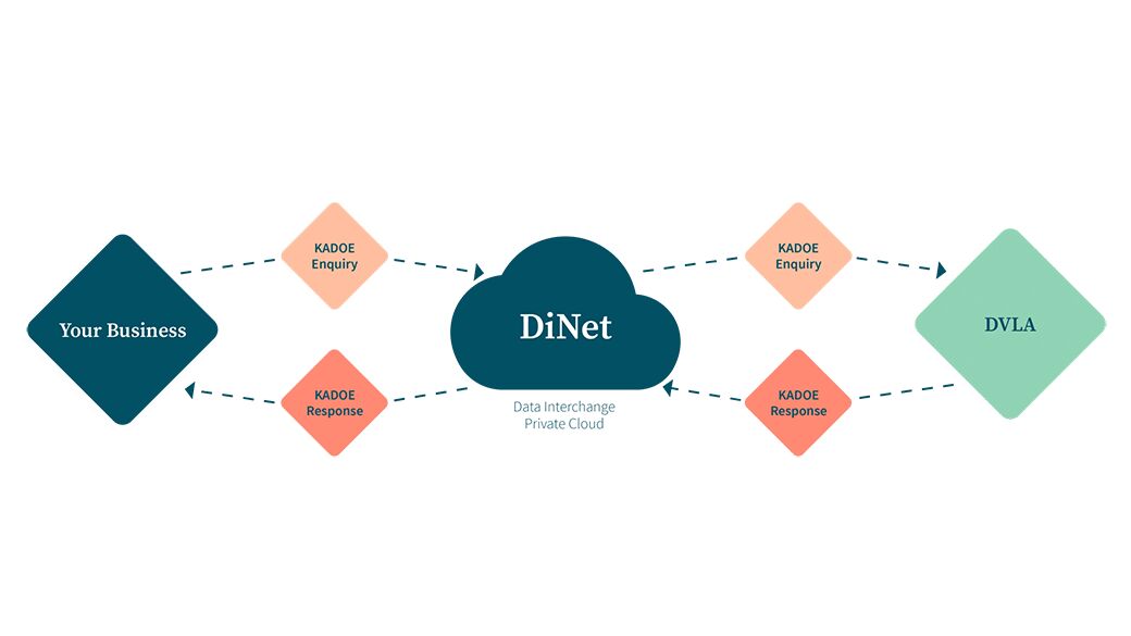 dvla-kadoe-diagram - web_size_crop_jpg